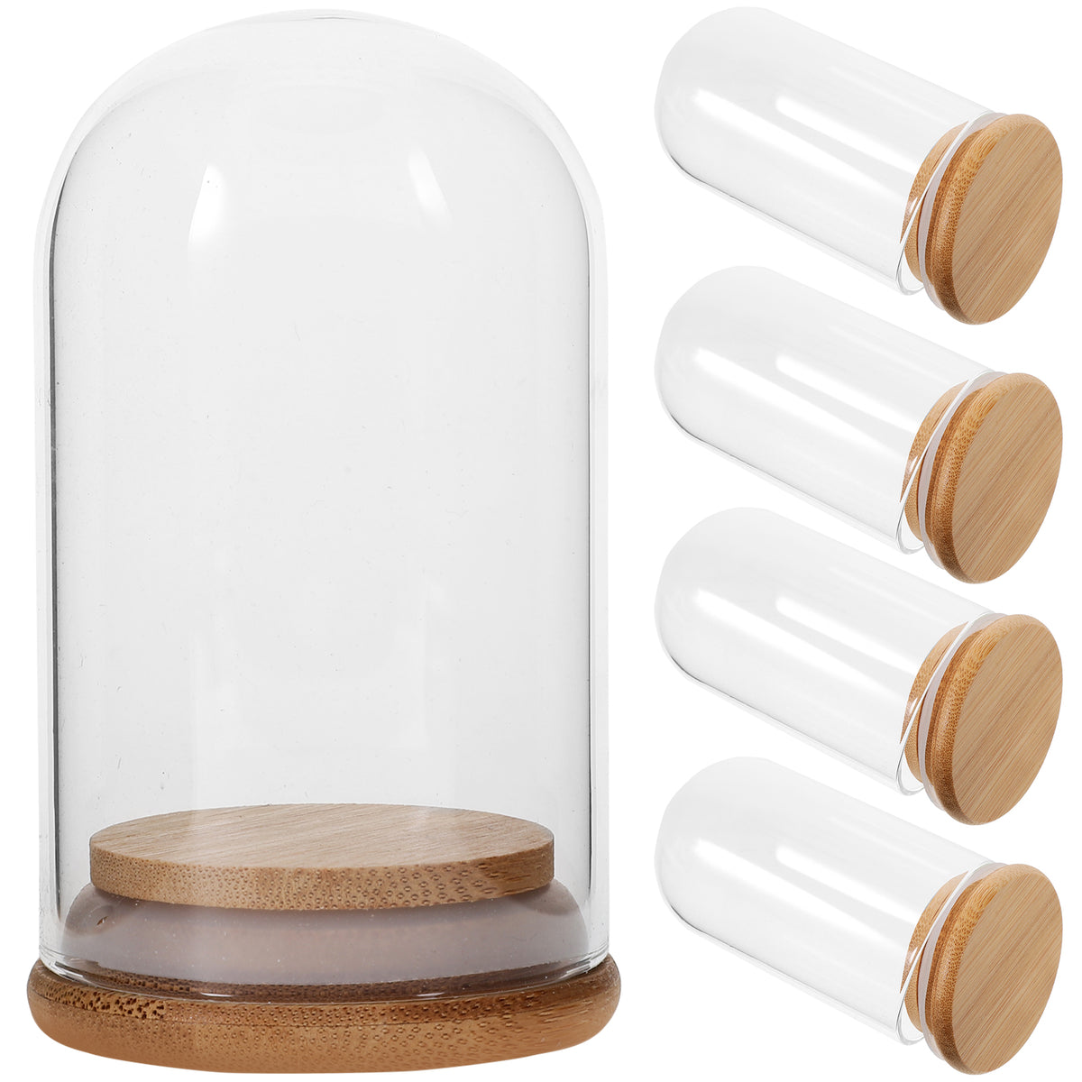 5 Pcs Glass Dome Display Case with Bamboo S691