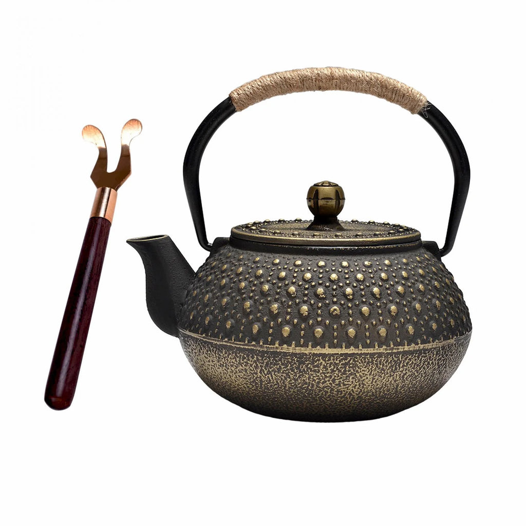 Cast Iron Teapot Farmhouse Tea Kettle D46467